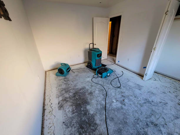 Best Carpet water damage restoration  in Athens, PA