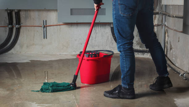 Best Ceiling water damage repair  in Athens, PA
