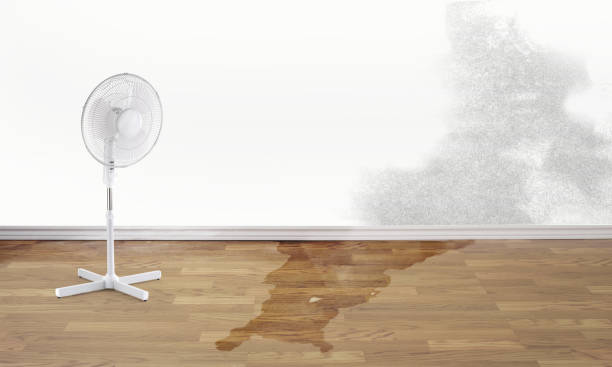 Best Flood damage cleanup  in Athens, PA