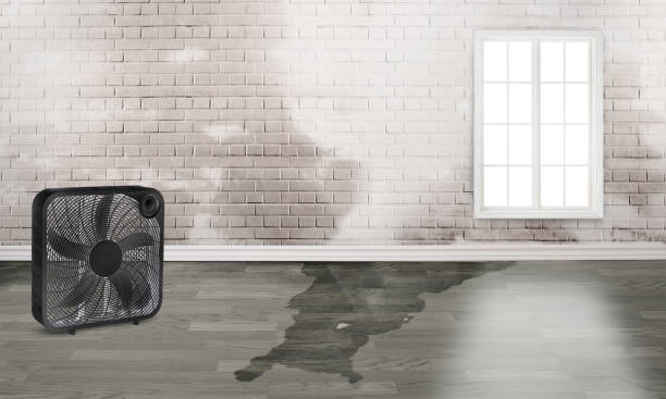 Best Sewage cleanup and water damage restoration  in Athens, PA