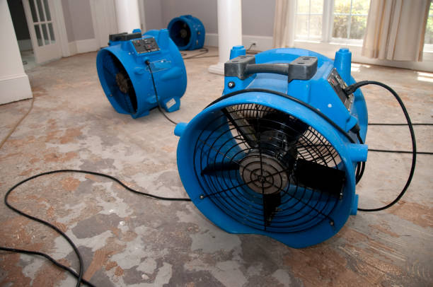 Best Emergency water extraction  in Athens, PA