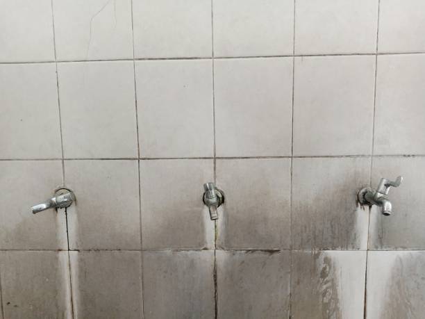  Athens, PA Water damage restoration Pros