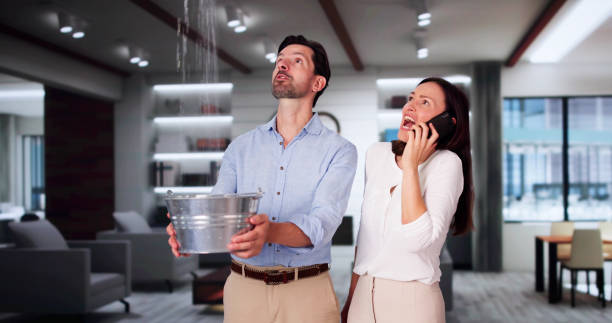 Best Water damage cleanup near me  in Athens, PA